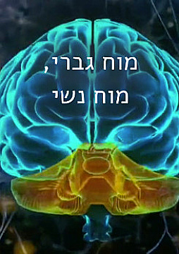 צפייה בסרט המלא מוח גברי, מוח נשי - צפייה בטריילר