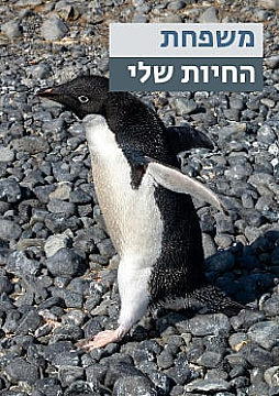 צפייה בסרט המלא - משפחת החיות שלי - פינגווין