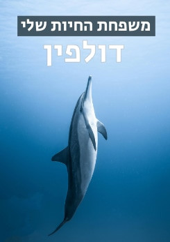 Watch Full Movie משפחת החיות שלי - דולפין - Watch Trailer