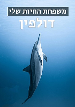 Watch Full Movie משפחת החיות שלי - דולפין - Watch Trailer