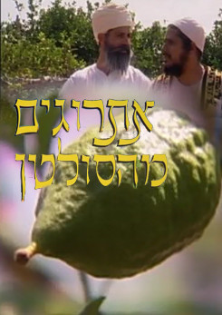 צפייה בסרט המלא אתרוגים מהסולטן - צפייה בטריילר