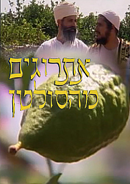 צפייה בסרט המלא אתרוגים מהסולטן - צפייה בטריילר