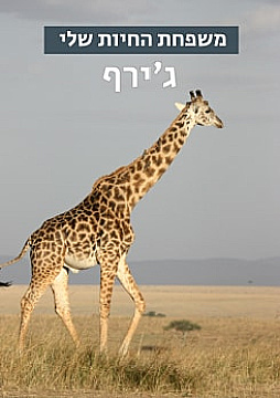 Watch Full Movie משפחת החיות שלי - ג'ירף - Watch Trailer